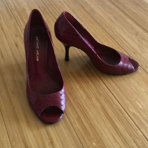 Red Snakeprint Pump
